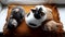 Three kittens are resting on an old windowsill with a warm blanket