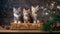 three kittens sitting on a christmas present box and pineconches