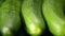 Three large cucumbers in drops in a changing focus, macro. Concept of storing fresh vegetables and cooking them. Closeup