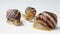 Three large garden snails Helix pomatia crawl on a white background.