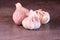 Three large heads of pink garlic on a kitchen worktop