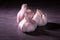 Three large heads of pink garlic on a kitchen worktop