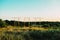 three large television antennas next to a lush green field