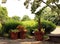 Three large Terracotta Planters in Garden