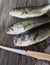 Three Largemouth Bass on a Cuttingboard