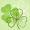 Three leaf clover illustration