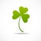 Three leaf irish clover icon.