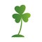 Three leaf Irish clover icon. Bright green shamrock, isolated on white.vector illustrations