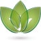 Three leaves in green, naturopath and nature logo