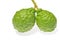 Three leech lime fruits