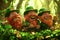 Three leprechauns standing among trees, wearing hats and smiling