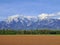 Three levels of composition: the plowed field, the forest and the mountains