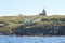 Three lighthouses on island