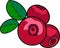 Three lingonberry berries with leaves. Colored icon. Black outline.
