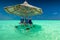 Three little boys under beach umbrella in the ocean, tropical Ma