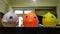 Three little cute plastic fish toy