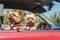 Three little dogs leaning out of car window