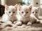 Three little kittens