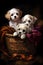 Three little puppies in a basket on a black background, digital painting