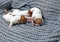 Three little puppies a boy and a girl Jack Russell are sleeping on each other on knitted sweaters. childhood, A few hours after