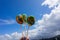 Three lollies held against a Cornwall coastline