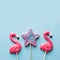 Three lollipop, pink flamingo, swirl star on blue.