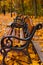 Three lonely benches in the park