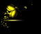 Three luminous night-flying beetle