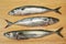 Three mackerel on board