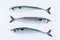 Three mackerels on white background. Top view.