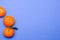Three mandarins on a blue background with copy space