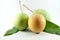 Three mangoes on white background.