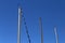 Three Mast Poles of Sailboats from Below and Clear Blue Sky