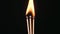 Three Matchsticks Ignites and Burns on a Black Background Close-Up