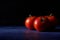 Three mature tomato fruits are lying on a dark blue background. There is a lot of copy space beside them. Selective focus.