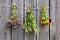 Three medical herbs bunch on old wooden wall