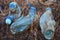 Three melted plastic bottles on the burnt grass