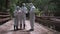 Three men in biohazard suits standing on a bridge