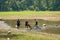 Three Men Engaged in Net Fishing at Patenggang Lake