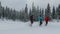 Three Men On A Winter Hike Walking Quickly In Snowshoes In The Clear Snow