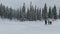 Three Men On A Winter Hike Walking Quickly In Snowshoes In The Clear Snow