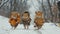 Three mice dressed in coats and hats walking through the snow, AI