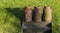 Three Milk Churns in Giethoorn