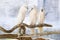 Three Moluccan cockatoo on the perch