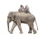 Three monkey hamadry are riding on the back of an elephant