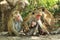 Three Monkeys with two cute kids - Mothers Love