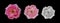 Three monochrome and pink pastel rose macros of isolated blossoms in painting style on black background