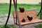 Three motley hens are sitting on a wooden bench swing in the yard