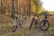 Three mountain bikes stand in the forest