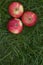 Three mouth-watering red apples in the green grass